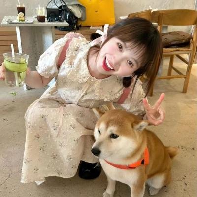 动画青春