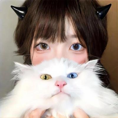 新·信长公记~同学是战国武将~